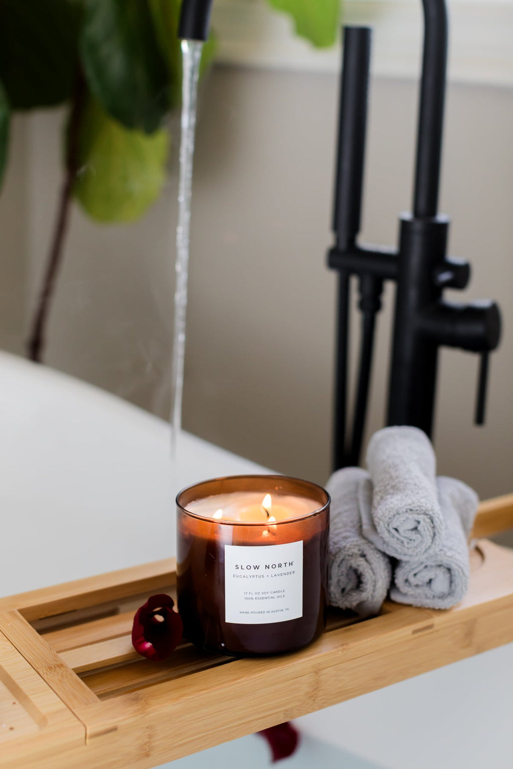 Eucalyptus + Lavender - Signature 3-Wick Candle