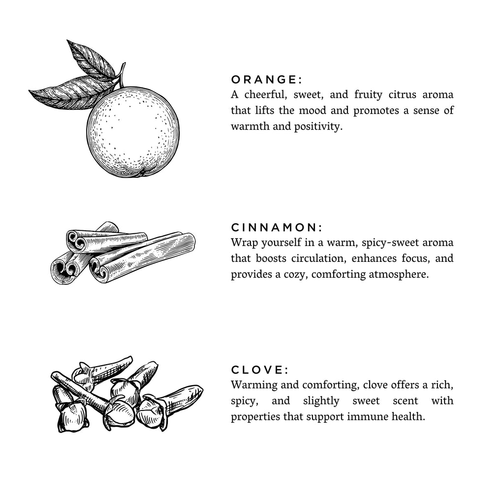 Orange + Clove - Signature Soy Candle