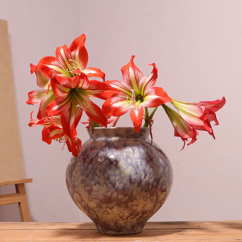 Ceramic Hydroponic Vase